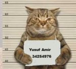 Yusuf Amir