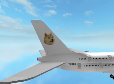 The Doge Airport