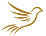 Şahin Travel