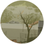 Basin