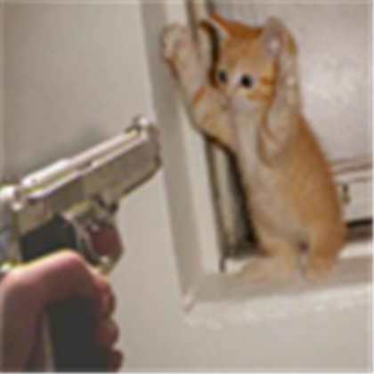by by cat Roblox decal