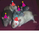 Pest Party!