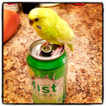 parkeet fanclub!