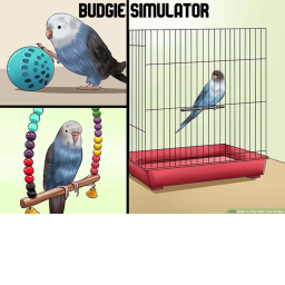 Budgie Simulator