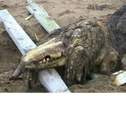 SCARY SCP 682 SURVIVAL!