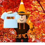Cone's Closet
