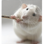 aLl bOoTiFuL rAtS