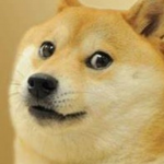 GamerDogeYT