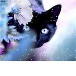 FeatherClan ~