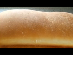 BRED RAID
