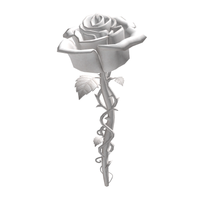 White Rose
