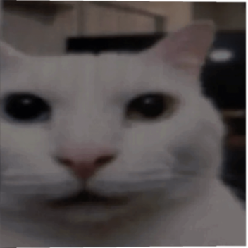 The One. (Currently In Progress)