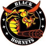Black Hornet Military