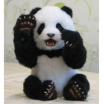 For The Pandas