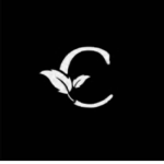 Clover_Studios