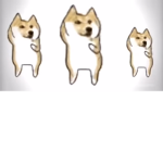 TheNoobsFanClub