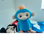 Enzo the monkeys group