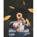 honey_cove