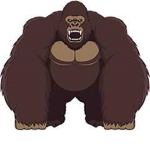 Primate monkeys