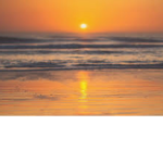 XxSunnyStarsxX