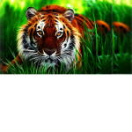 TigerStrikers