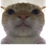 마루 패밀리