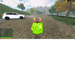 The Goblins in The Bush