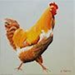 The#Chicken#Squad