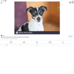 #dognation!!!!!!!!!!