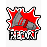 Report grupo