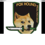 Doge vile navy