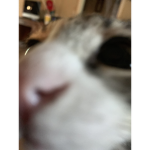soaring through space in my catillac