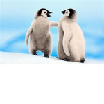 The Penguin Squad meet up place