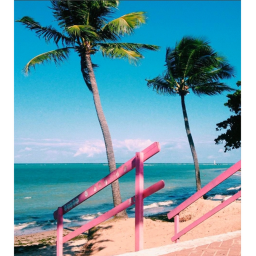 Tropical apparel