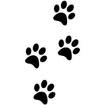 _paws_