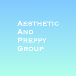 aesthetic and preppy group