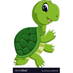 turtle..