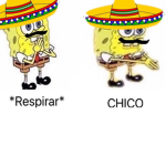 The Pineapple Community