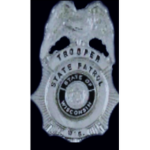 WSP DETECTIVE OFFICE [WDO]