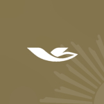 [J P] Jet Philippines