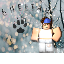Cheetah  Homestore