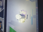 Give robux guid