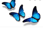 Esthetic ones