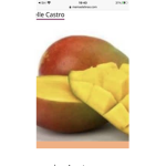 The mango man