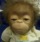 monke_virus group