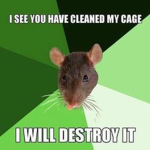(B) RATS