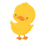 OFFICAL TEAM DUCK!