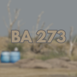 BA-273 Community