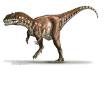 PALEO NERDS