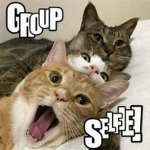 The C_A_T Squad
